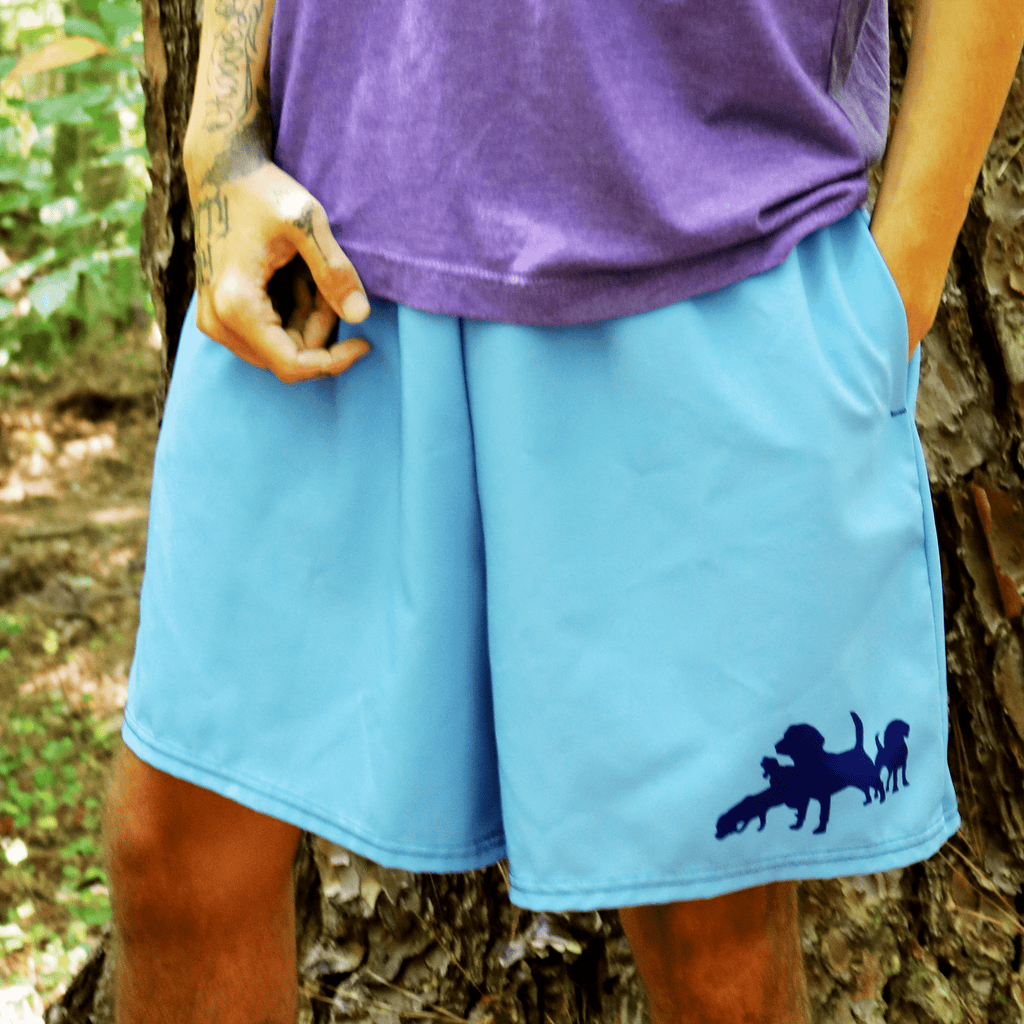 Light Blue Brett Short