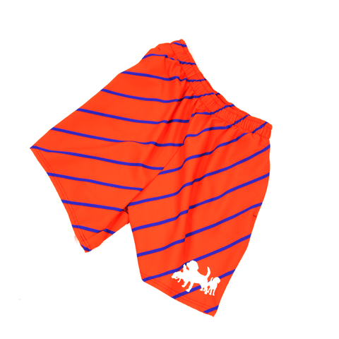 Prep Stripe Brett Short